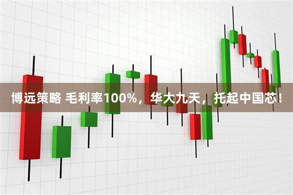 博远策略 毛利率100%，华大九天，托起中国芯！