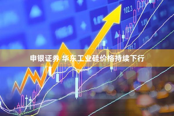 申银证券 华东工业硅价格持续下行