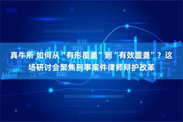 真牛所 如何从“有形覆盖”到“有效覆盖”？这场研讨会聚焦刑事案件律师辩护改革