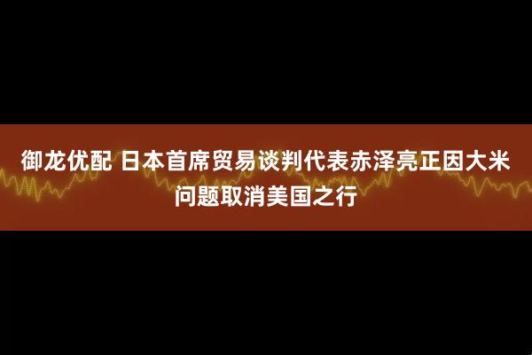 御龙优配 日本首席贸易谈判代表赤泽亮正因大米问题取消美国之行