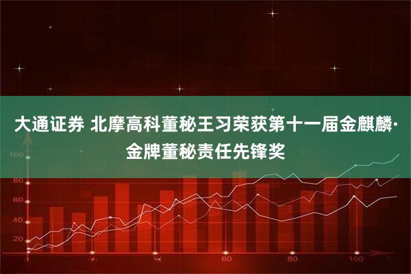大通证券 北摩高科董秘王习荣获第十一届金麒麟·金牌董秘责任先锋奖
