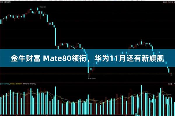 金牛财富 Mate80领衔，华为11月还有新旗舰